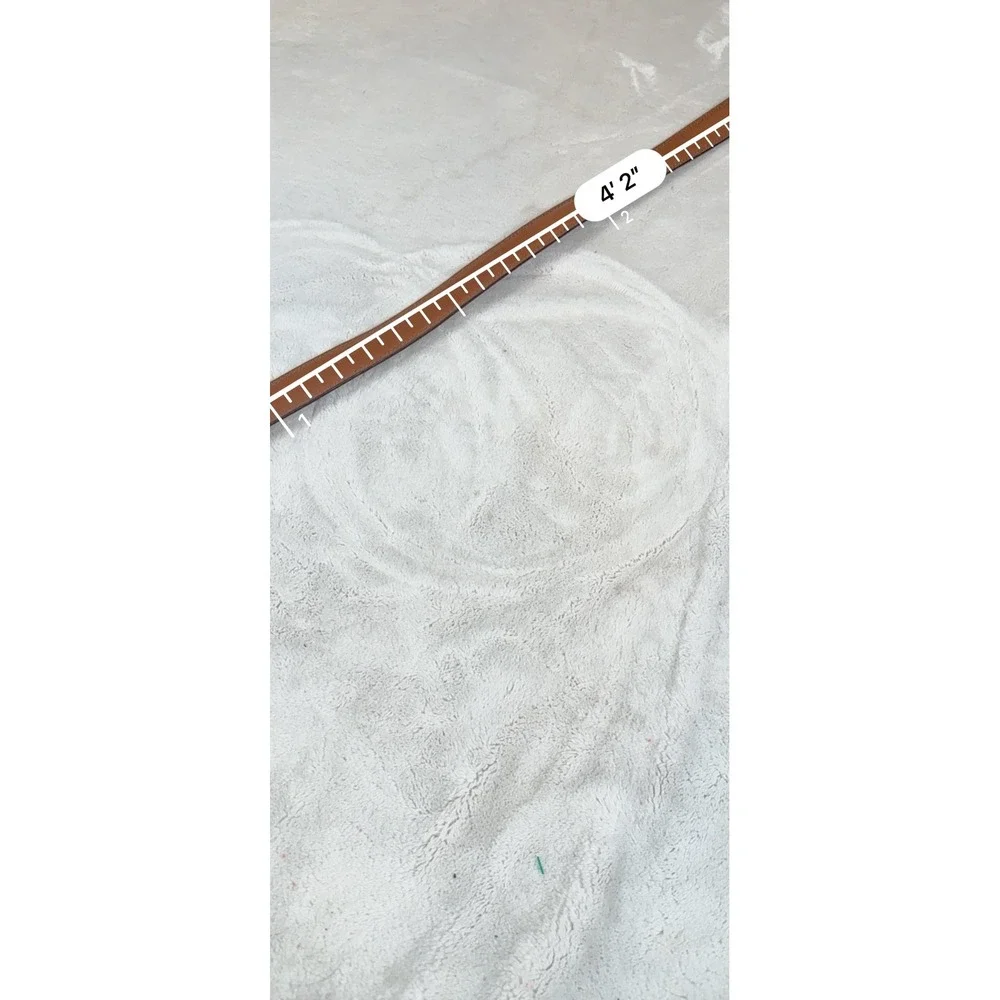 Dickies Mens Brown Genuine Leather Belt Size 46 Silver Buckle 1-71498-03635